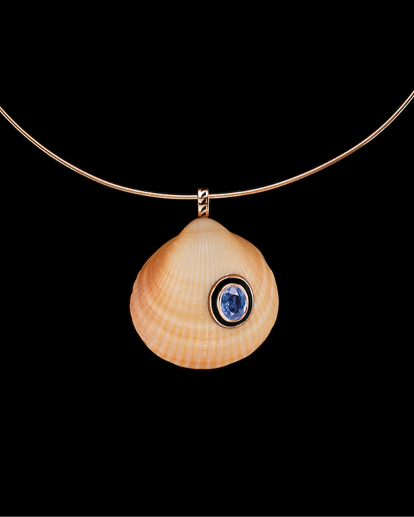 Anadara Shell & Blue Sapphire