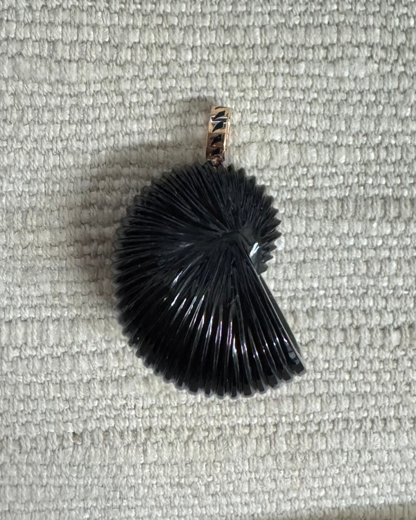 Carved Nautilus Pendant - Onyx