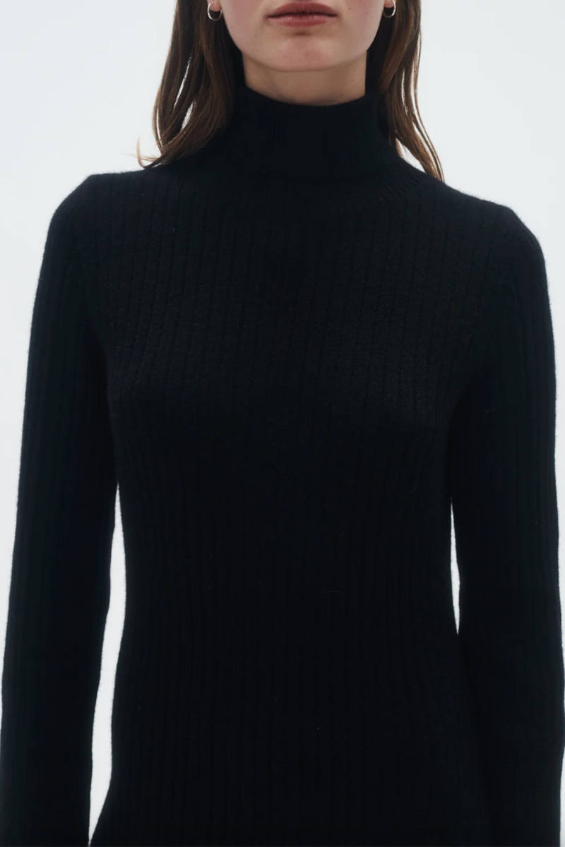 Wide Rib Turtleneck Dress - Black